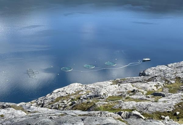 Lenke til artikkel: Trafikklyssystemet 2026 – Søk om økt kapasitet i matfiskanlegg for laks og ørret