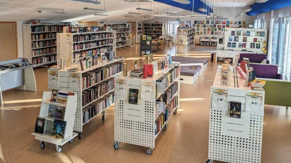 Lenke til artikkel: Fylkesbiblioteket på tur