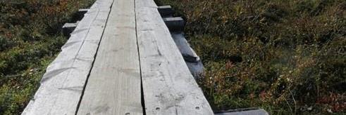 Klopper er god tilrettelegging for å redusere terrengskader. Statskog har kloppet mellom Gjeddebukt og Leinavat i Bardu kommune.